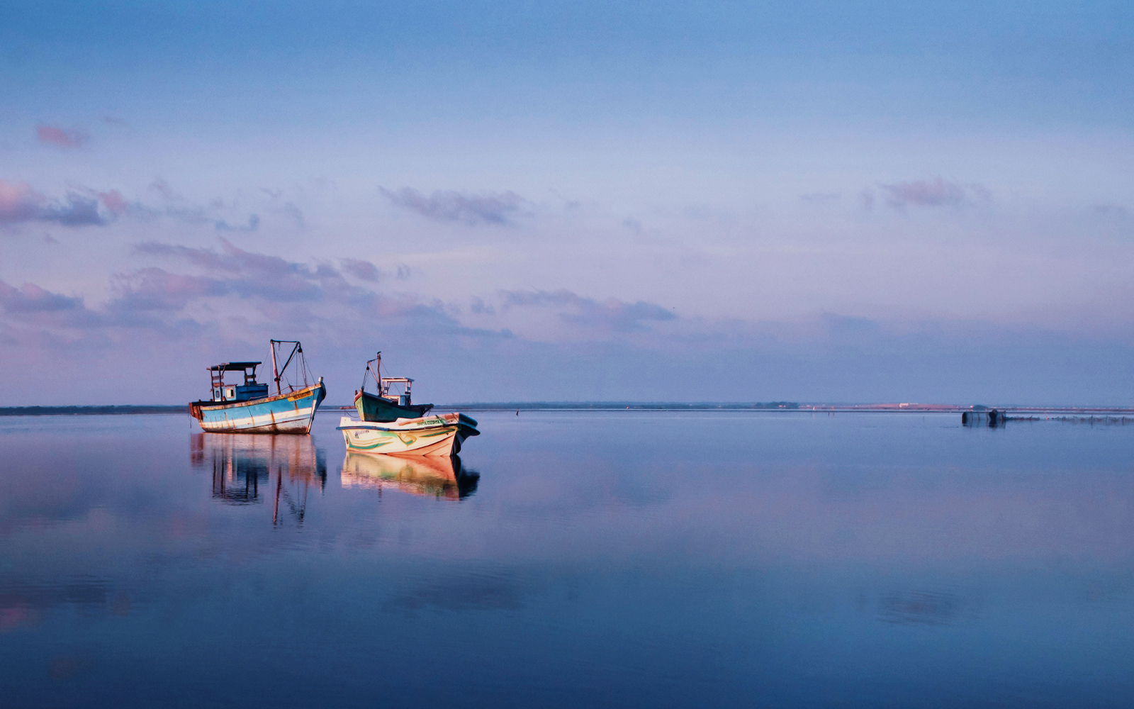 Viaggio di gruppo in Sri Lanka Viaggio di gruppo in Sri Lanka