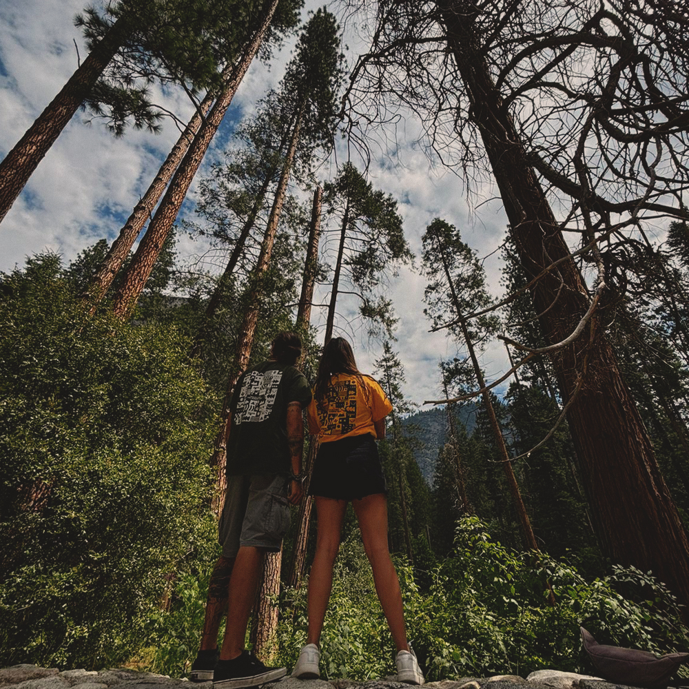 Viaggi di gruppo california Viaggi di gruppo california