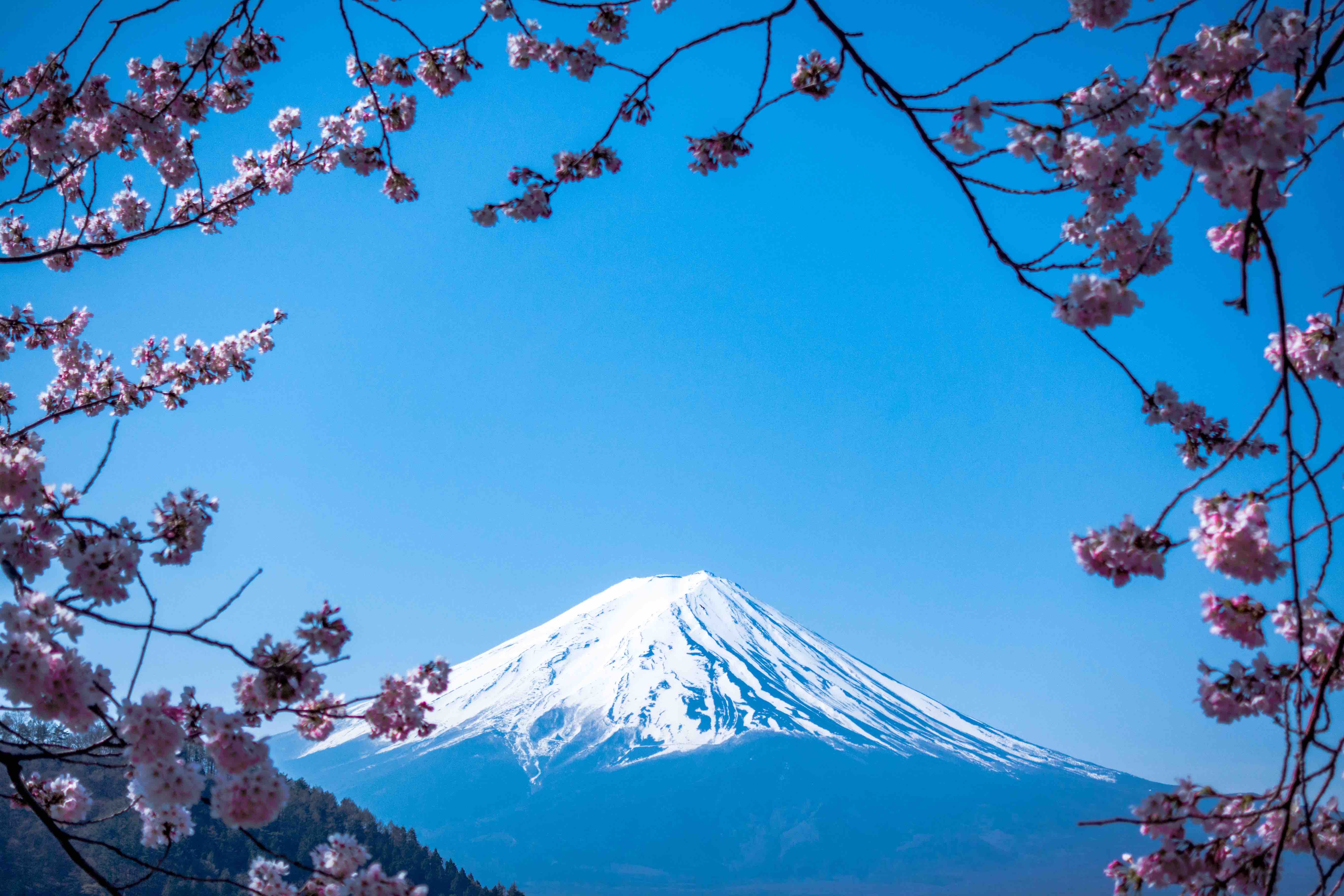 Viaggi di gruppo in Primavera