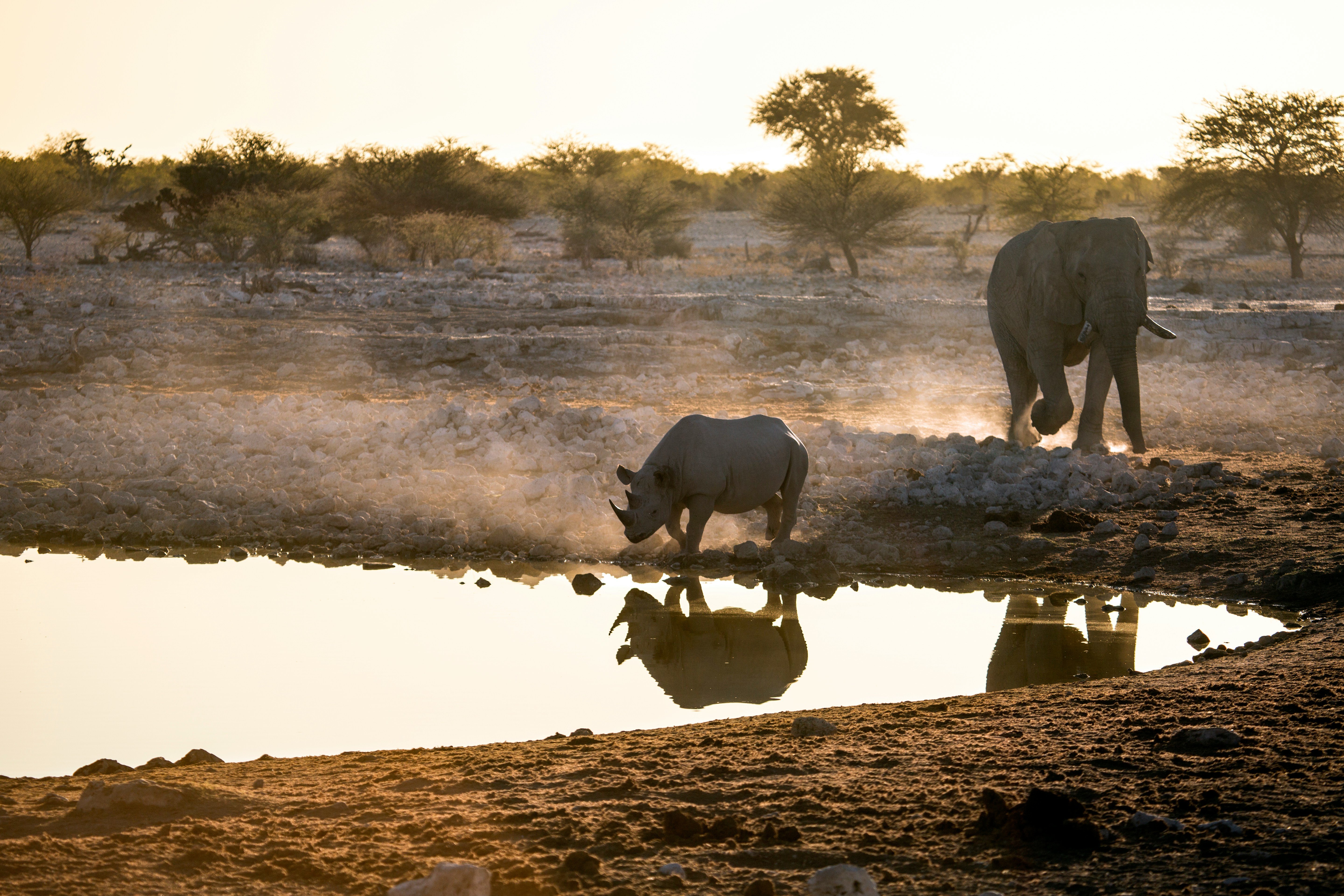 Tanzania