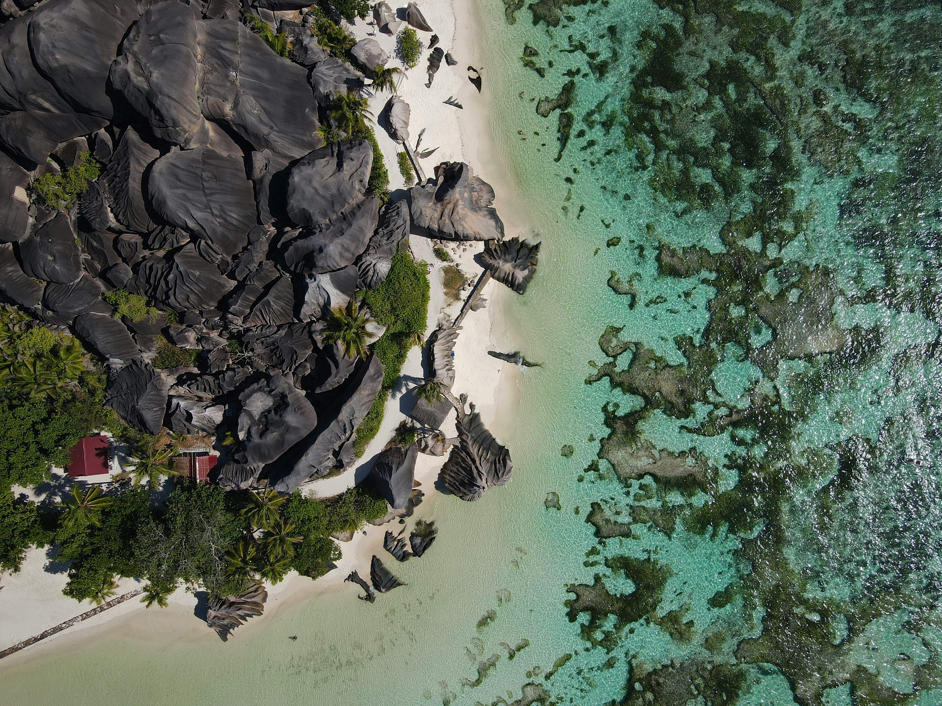 Viaggio alle Seychelles Viaggio alle Seychelles