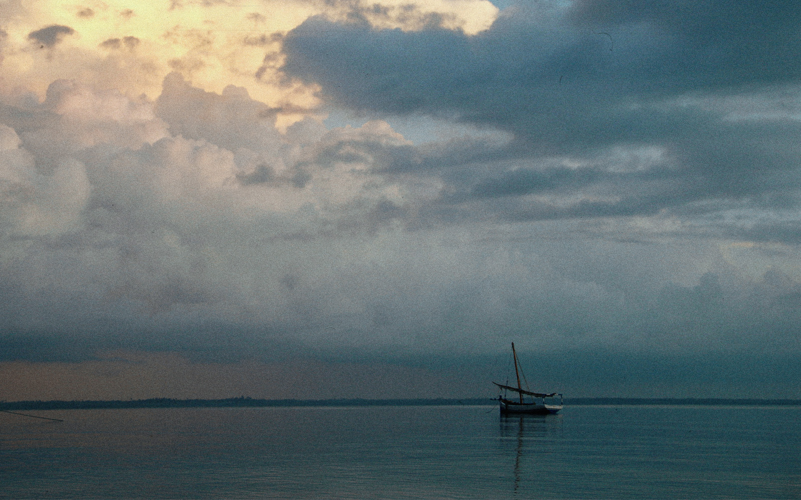 Immersioni a Mafia Island tra le Acque Cristalline Immersioni a Mafia Island tra le Acque Cristalline