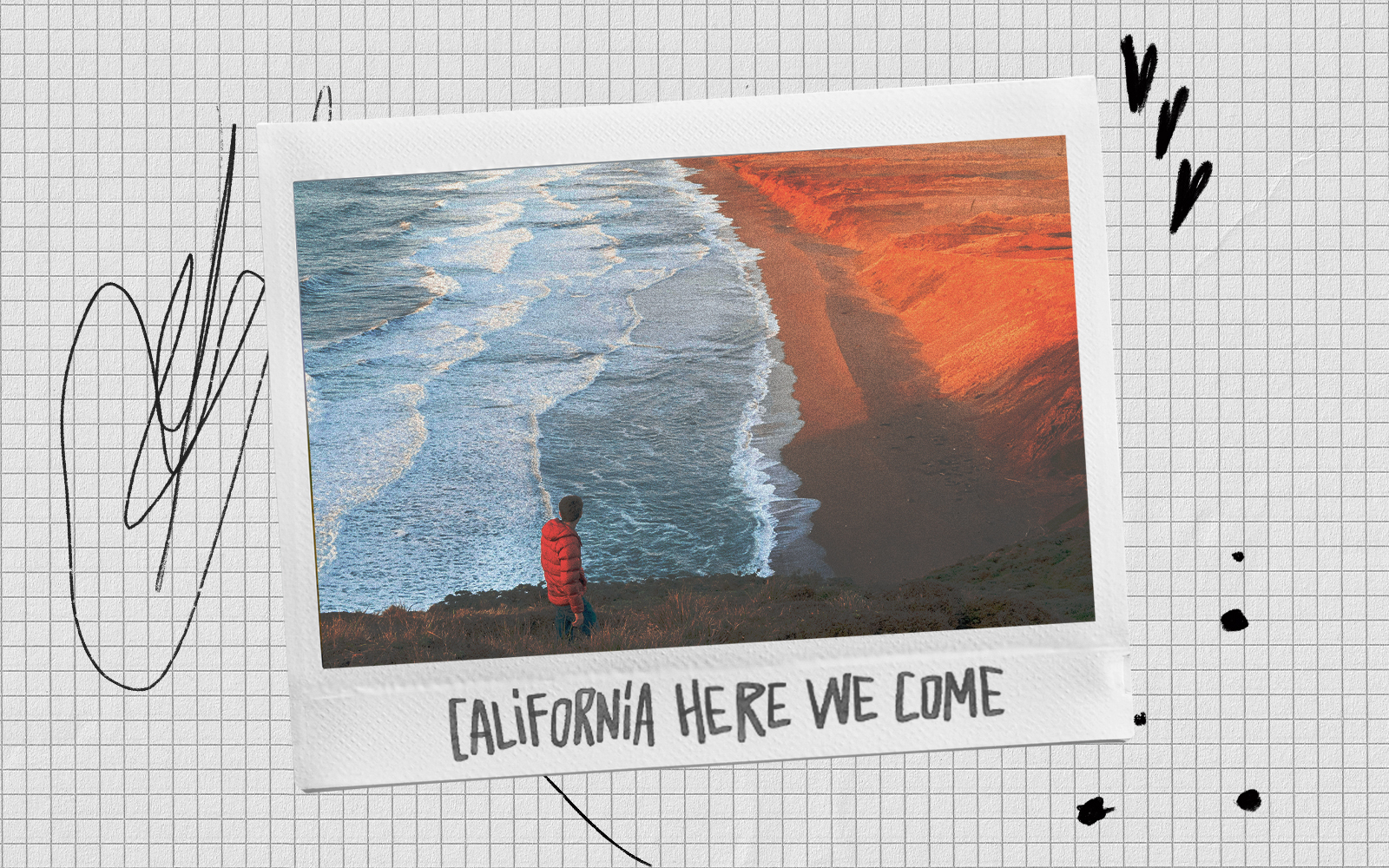 California Dreaming: spiagge, scogliere e sequoie California Dreaming: spiagge, scogliere e sequoie