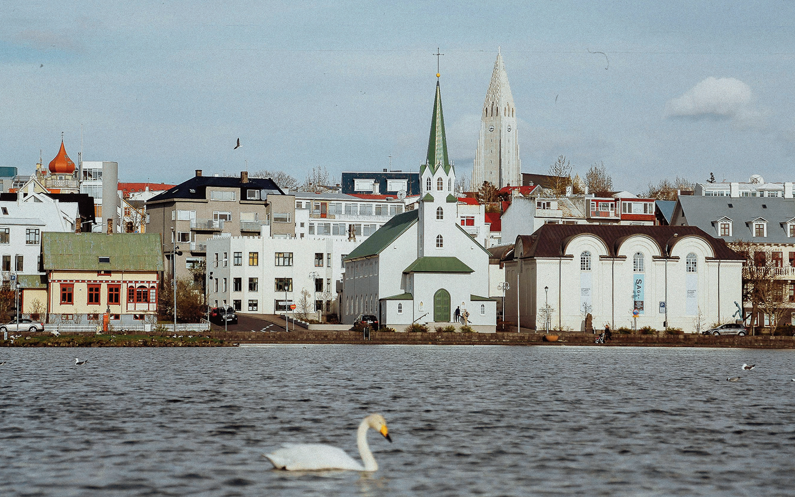 Reykjavik e la Penisola di Reykjanes cosa vedere Reykjavik e la Penisola di Reykjanes cosa vedere