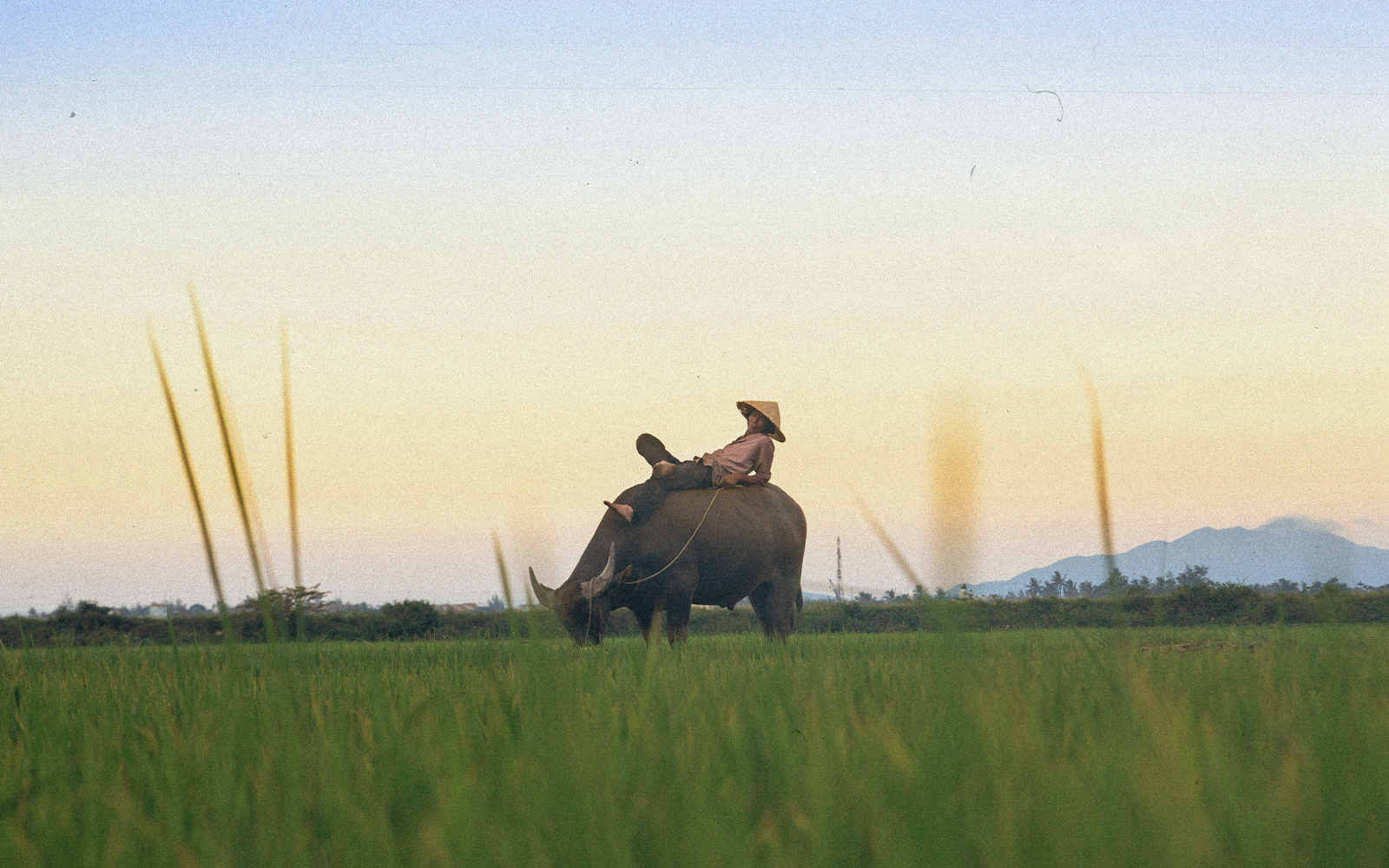 Zaino in Spalla in Vietnam: Un'Avventura Da Fare Zaino in Spalla in Vietnam: Un'Avventura Da Fare