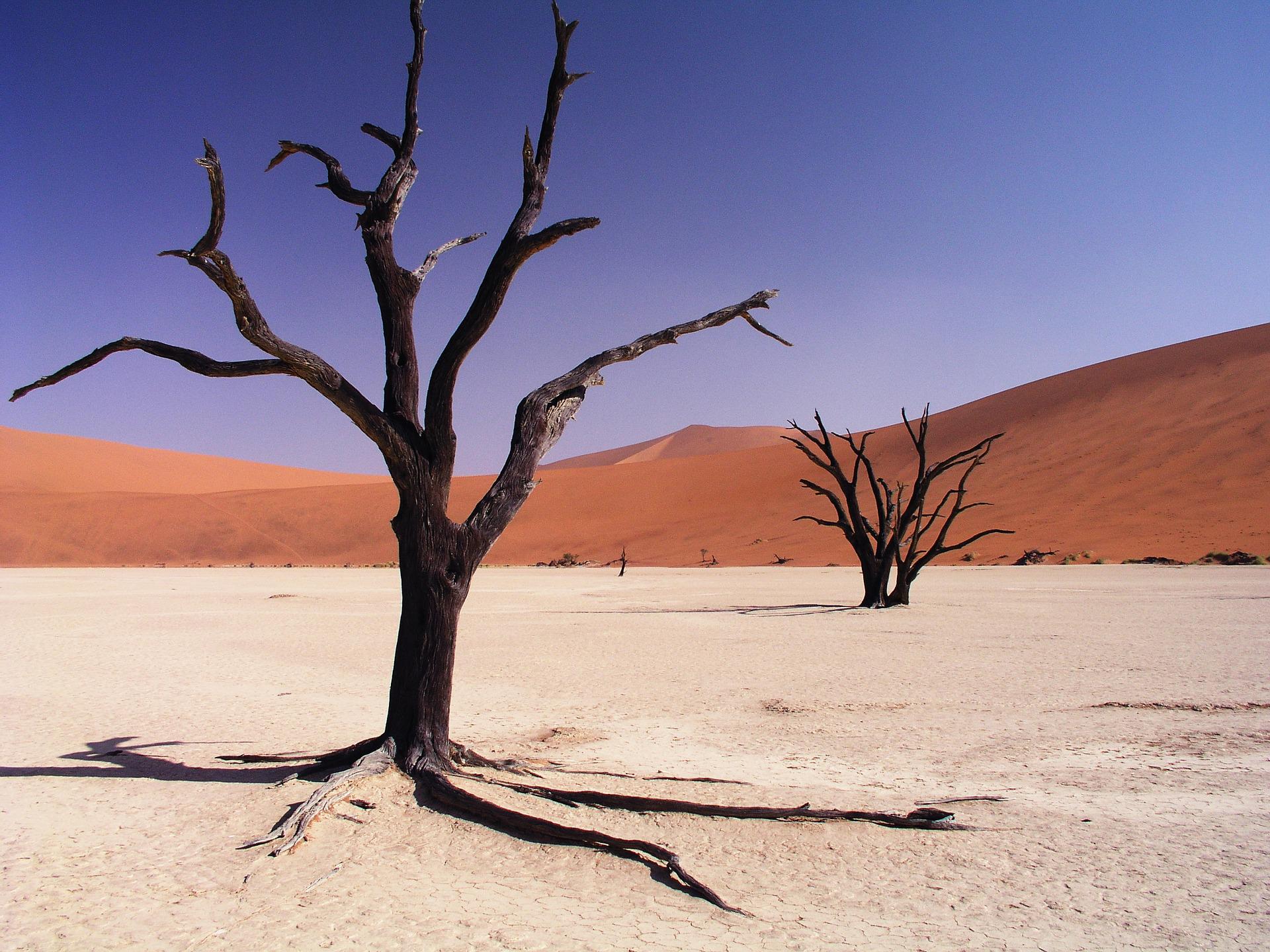 Tutto ciò che c'è da sapere su Sossusvlei, tra i luoghi più incredibili della Namibia Tutto ciò che c'è da sapere su Sossusvlei, tra i luoghi più incredibili della Namibia