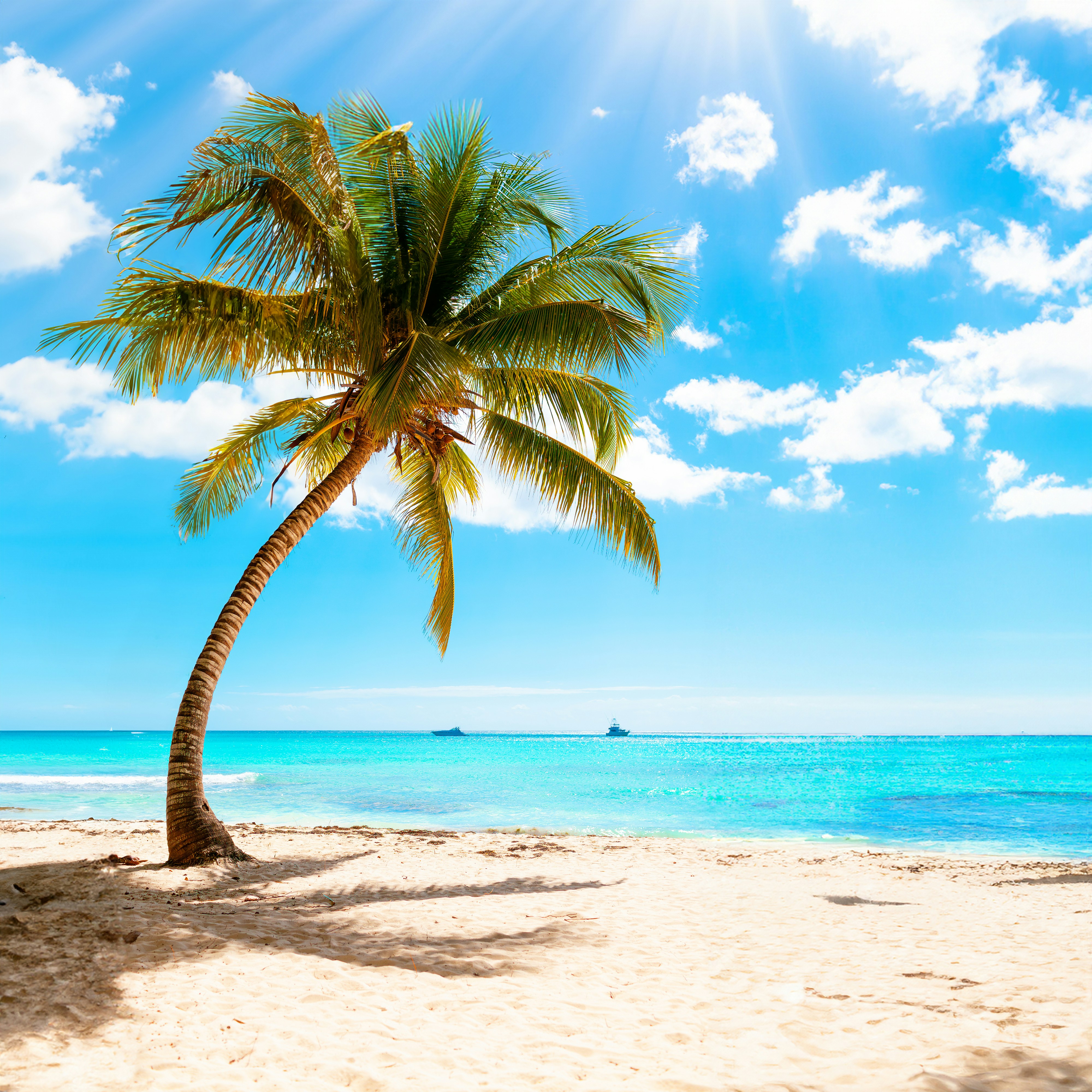 Viaggio alle Seychelles Viaggio alle Seychelles