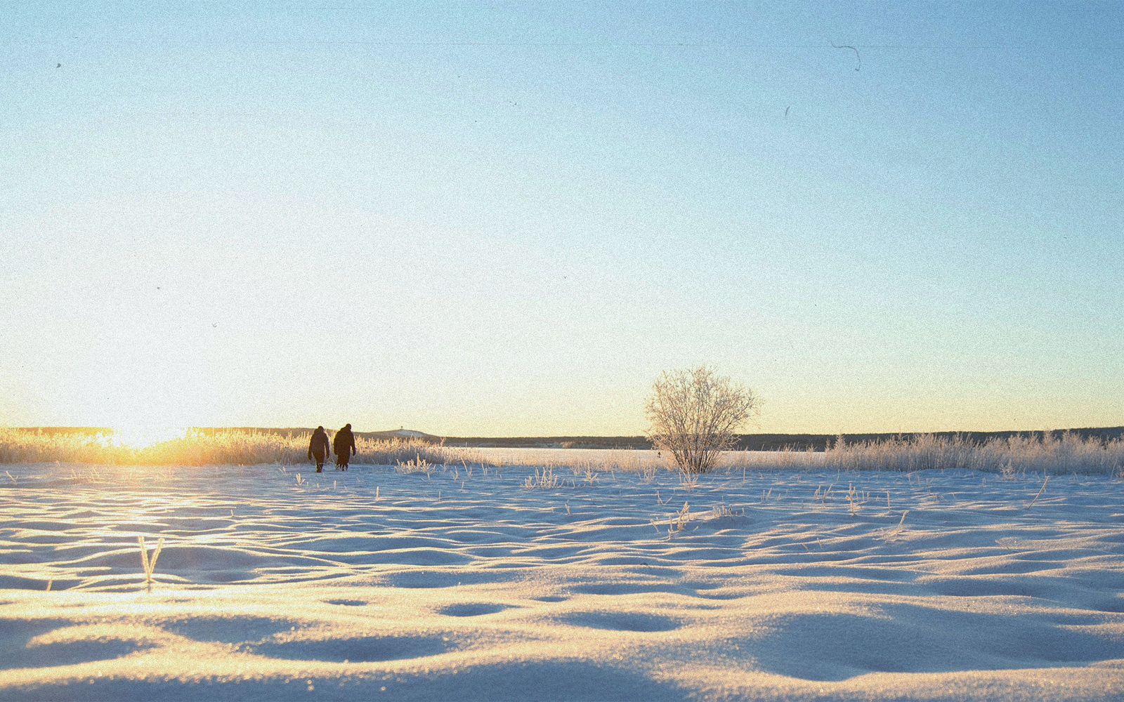 Lapponia: tra Luleå, husky safari e l'aurora-boreale Lapponia: tra Luleå, husky safari e l'aurora-boreale