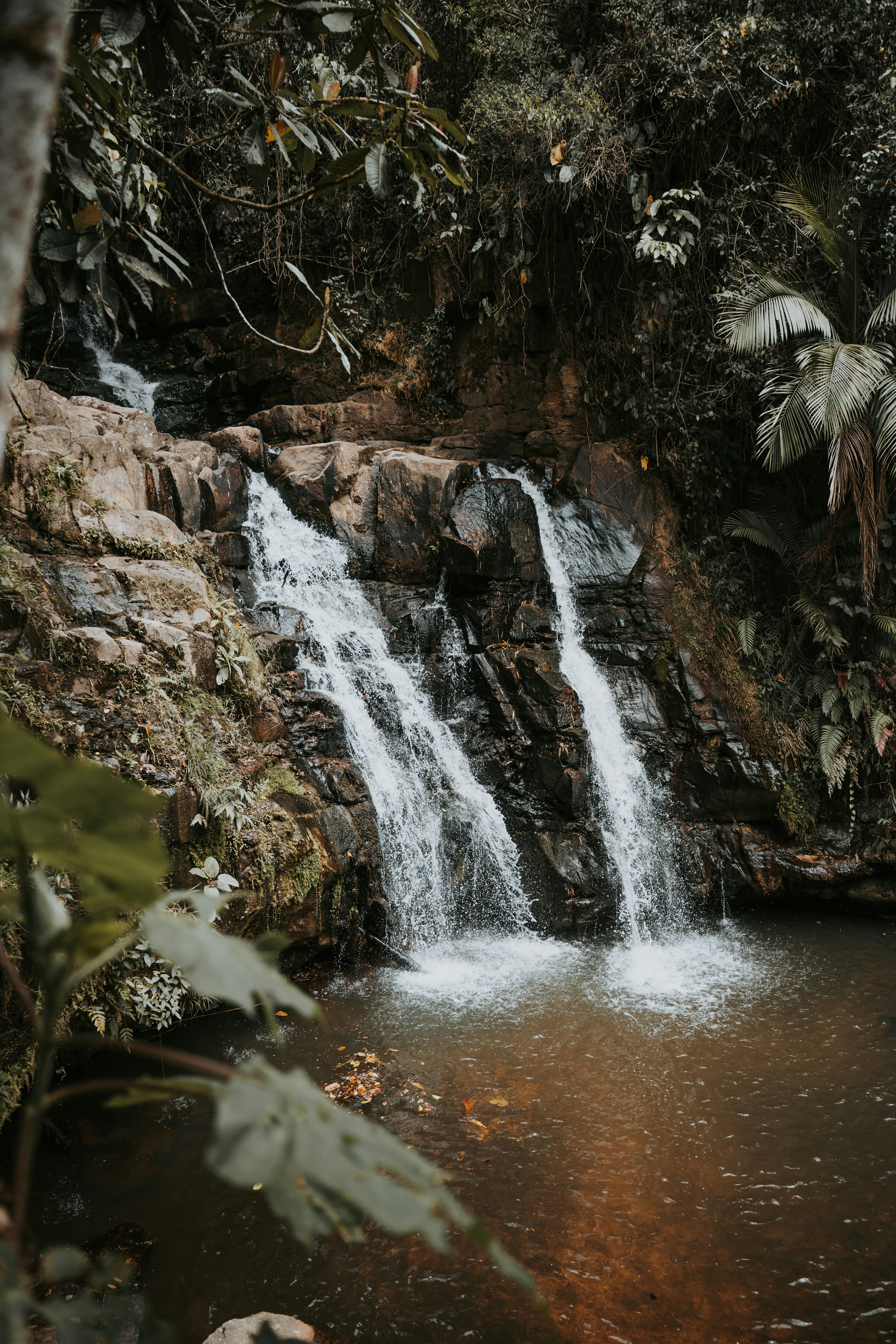 Viaggio alle Seychelles Viaggio alle Seychelles