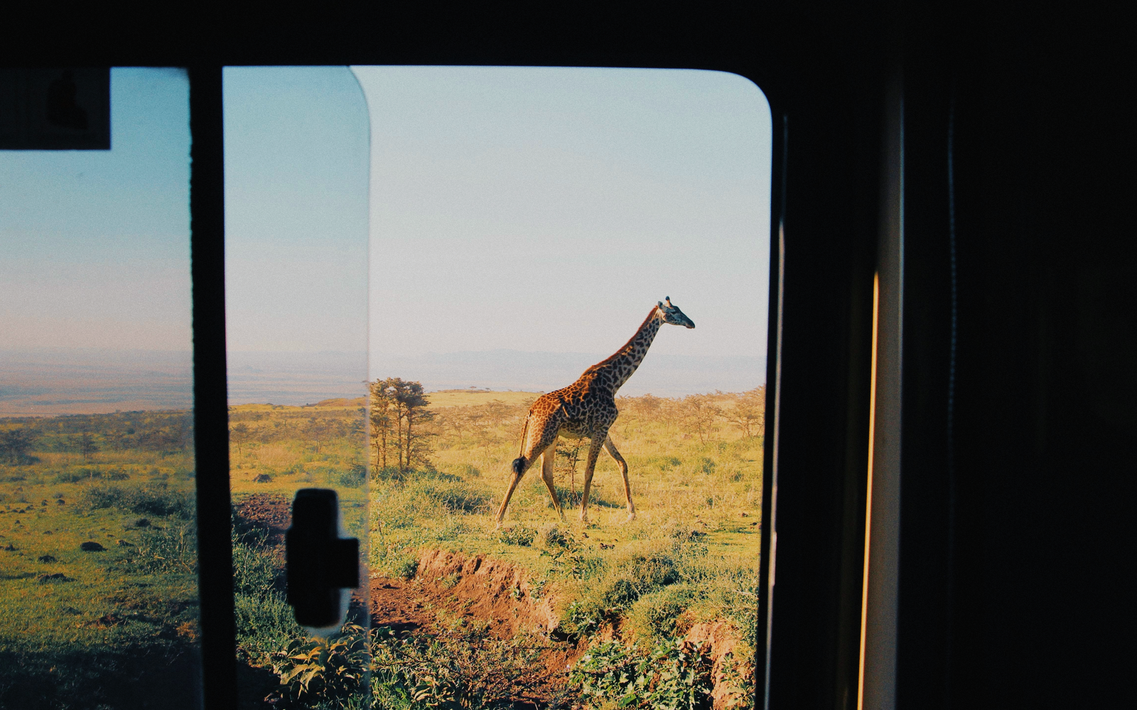 8 Consigli per un Safari in Tanzania 8 Consigli per un Safari in Tanzania