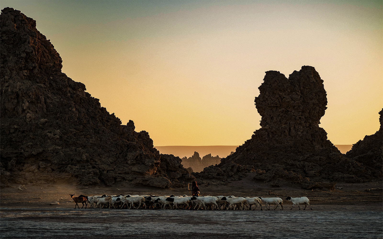 Quando visitare Gibuti: i 3 periodi migliori per il viaggio