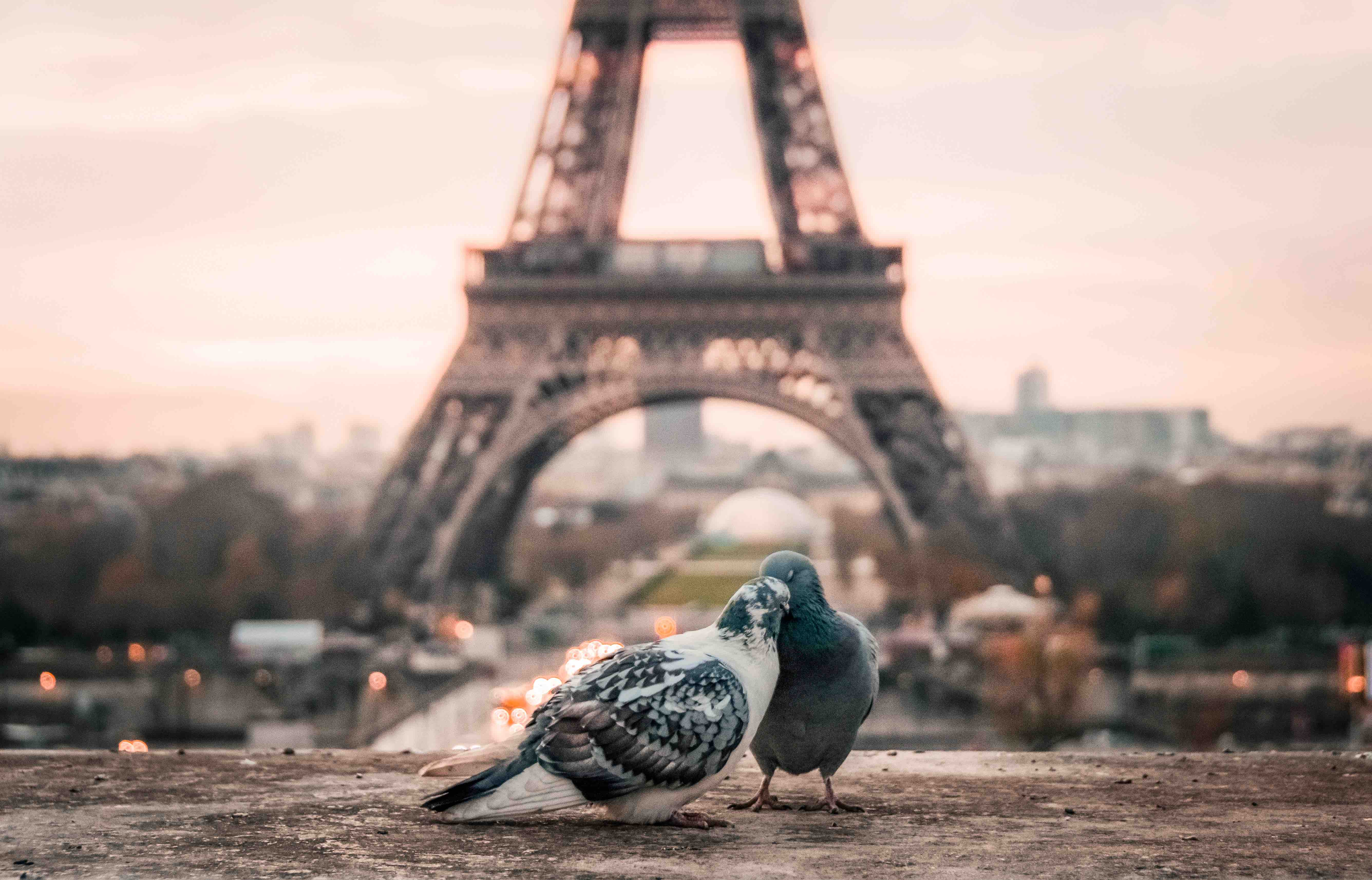 Viaggi di gruppo a San Valentino