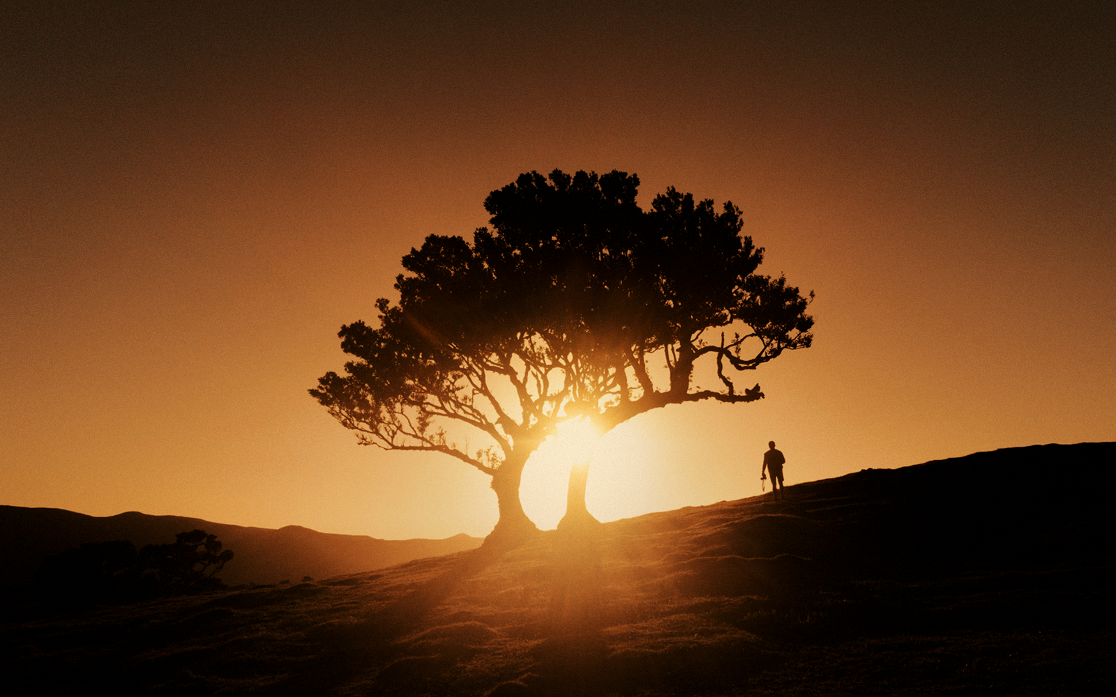 Madeira a Giugno tra trekking e natura selvaggia