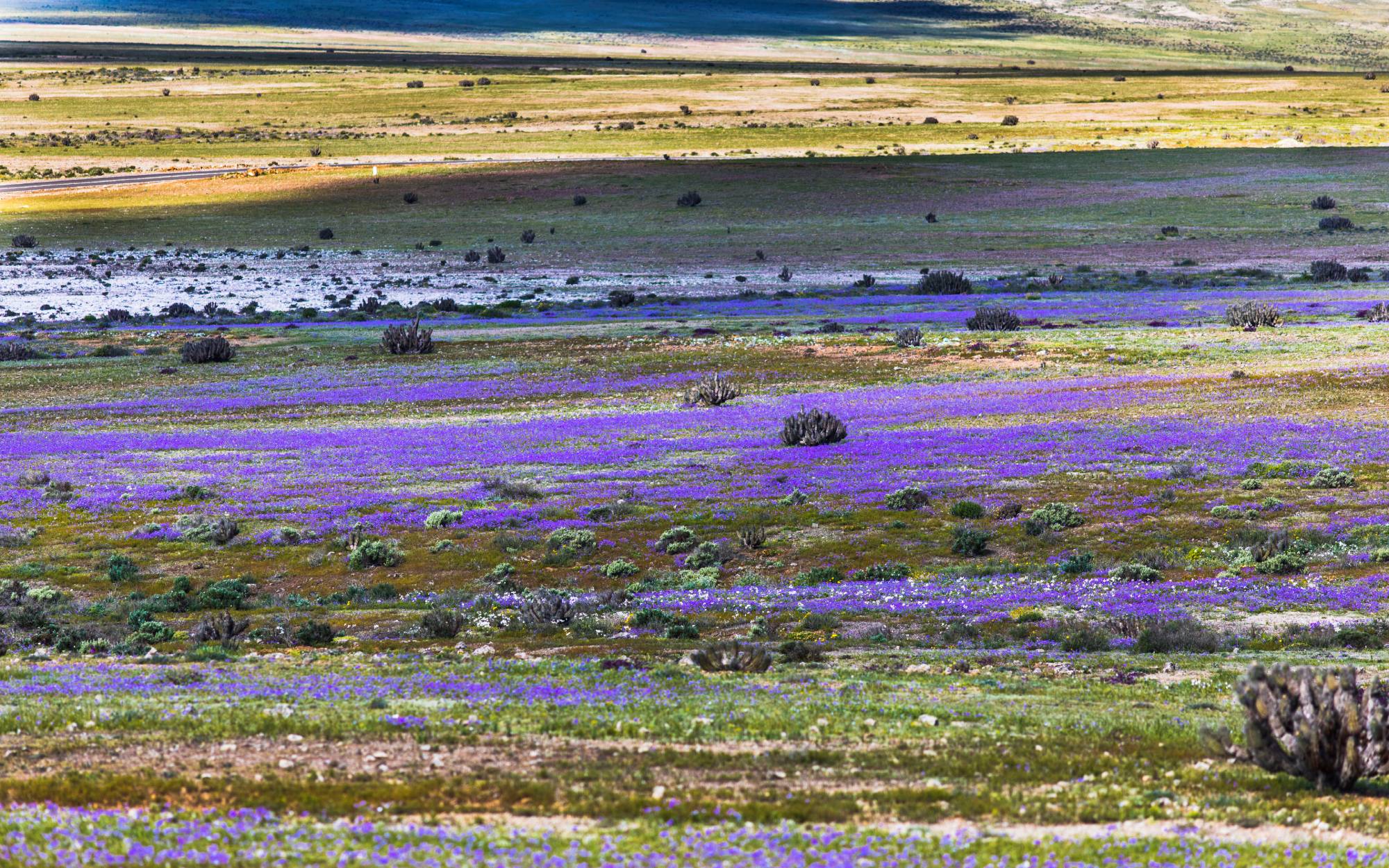 Viaggio di gruppo in Cile Viaggio di gruppo in Cile