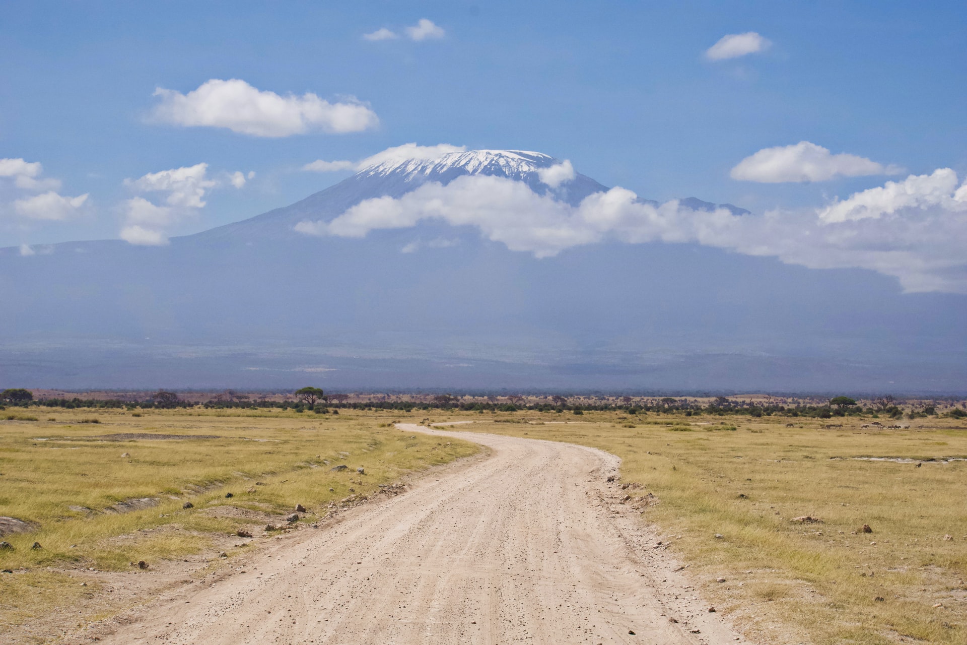 Amboseli