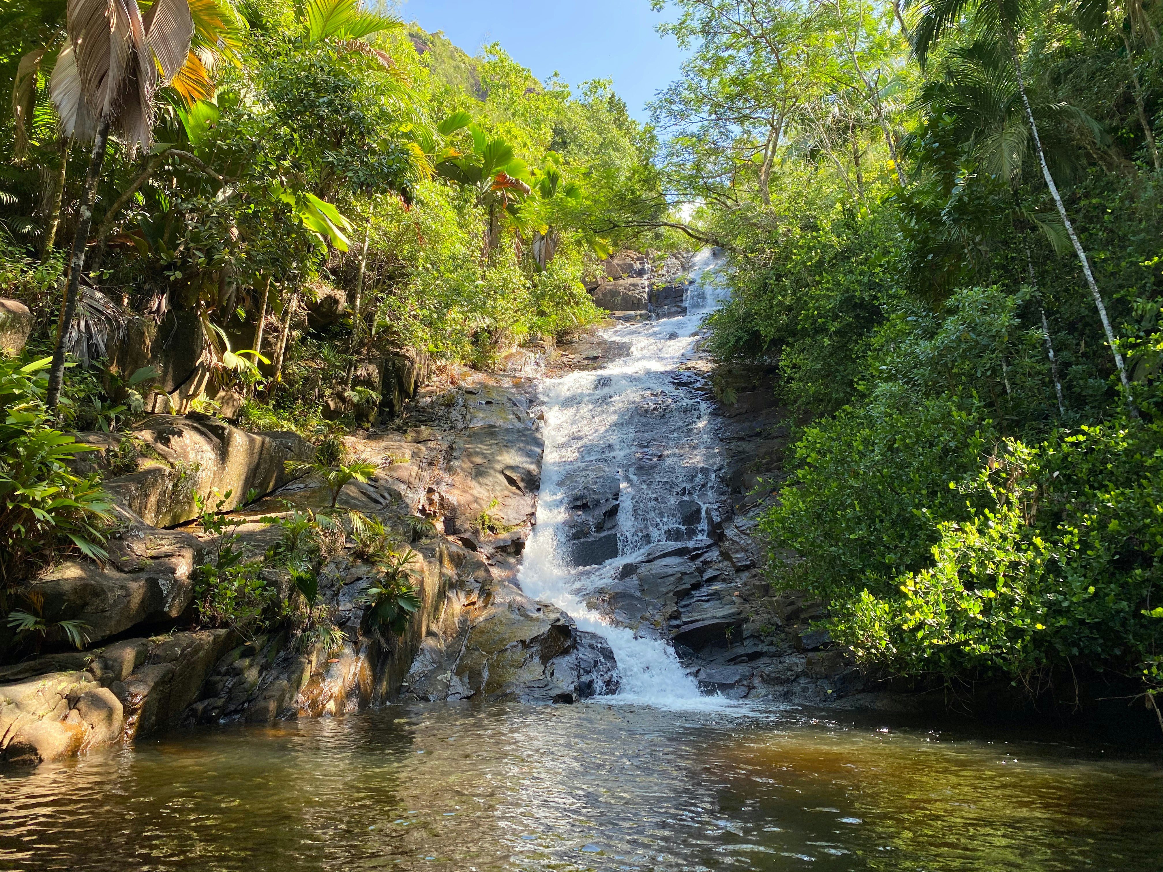Viaggio alle Seychelles Viaggio alle Seychelles