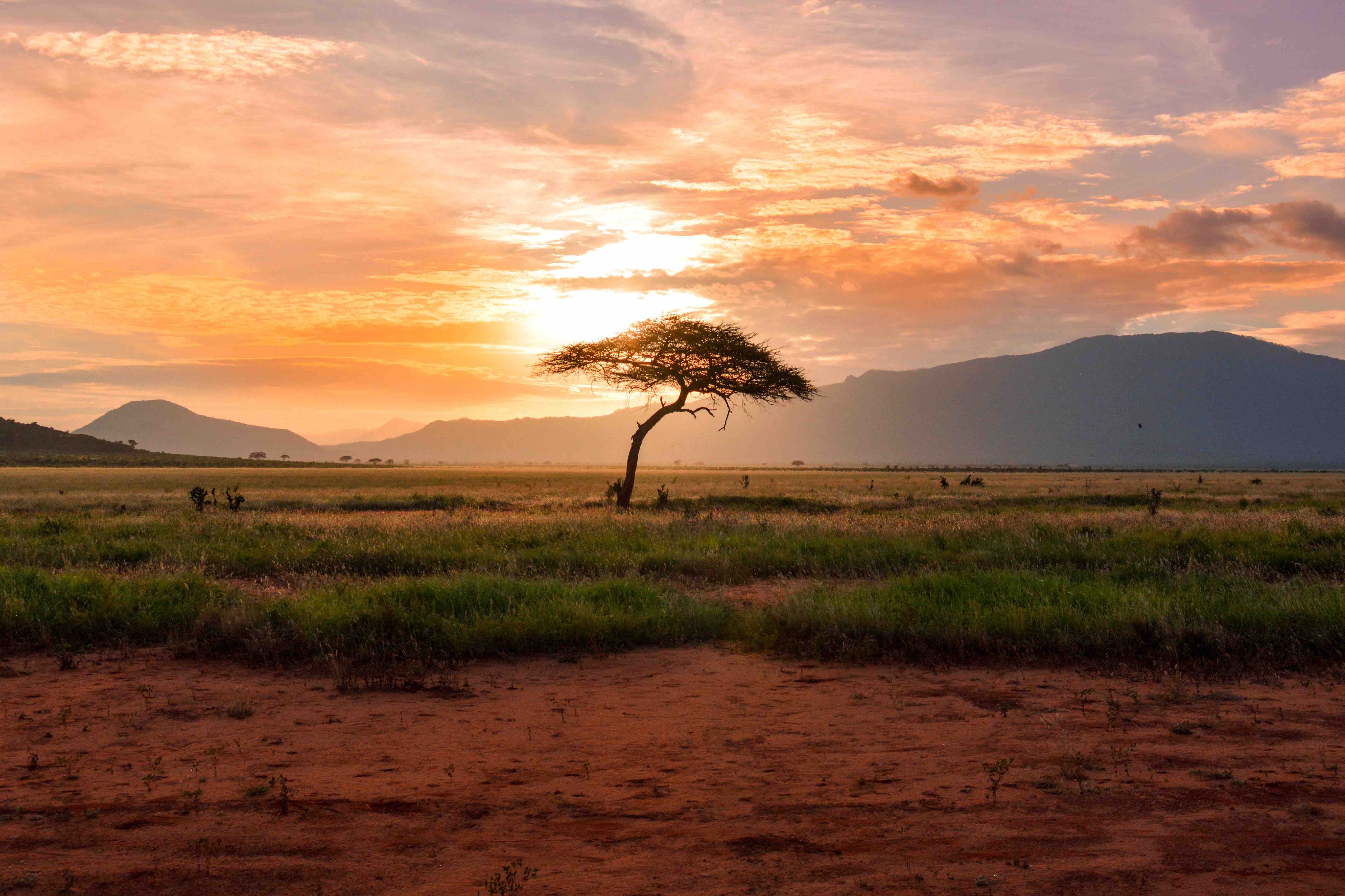 Viaggi di gruppo organizzati in Africa