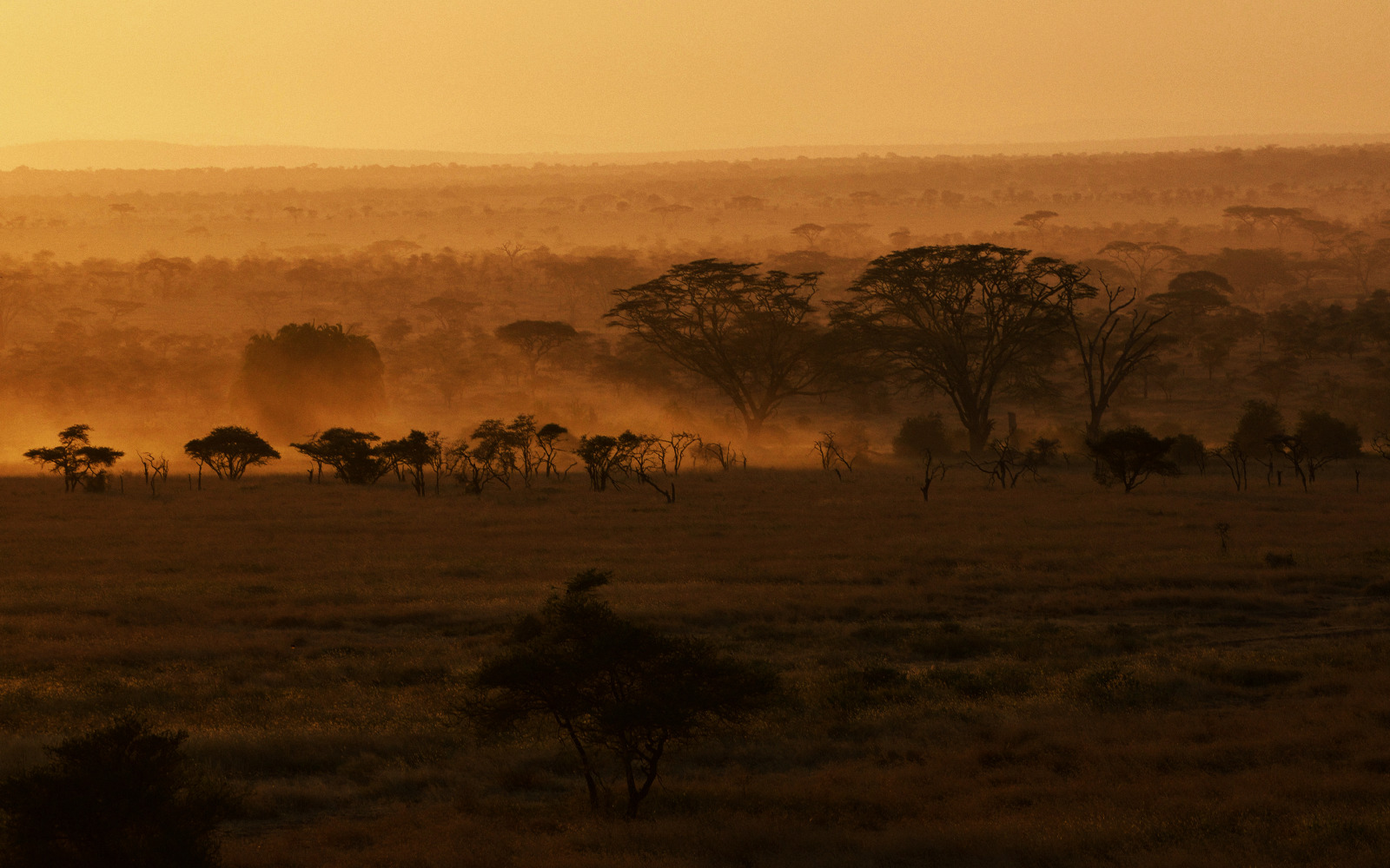 Viaggio di gruppo in Sudafrica Viaggio di gruppo in Sudafrica