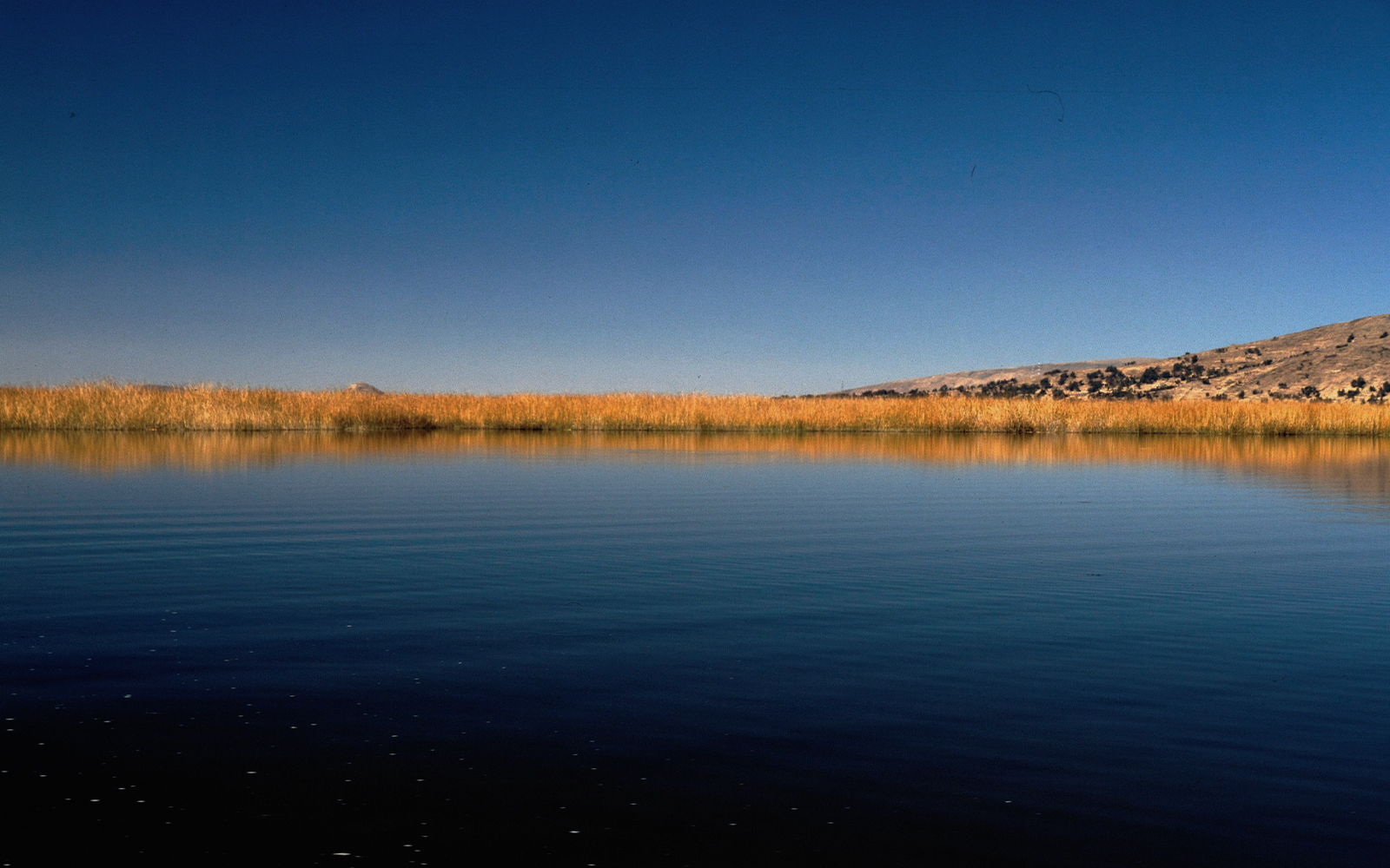 Perù e Amazzonia: Da Cusco a Machu Picchu Perù e Amazzonia: Da Cusco a Machu Picchu