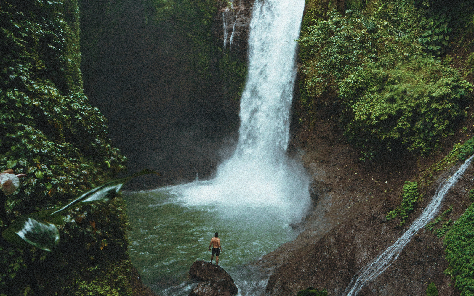 Esperienze uniche in Amazzonia: guida completa Esperienze uniche in Amazzonia: guida completa