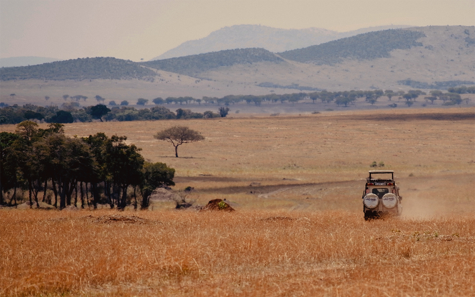 Tanzania: 8 esperienze tra avventura e natura
