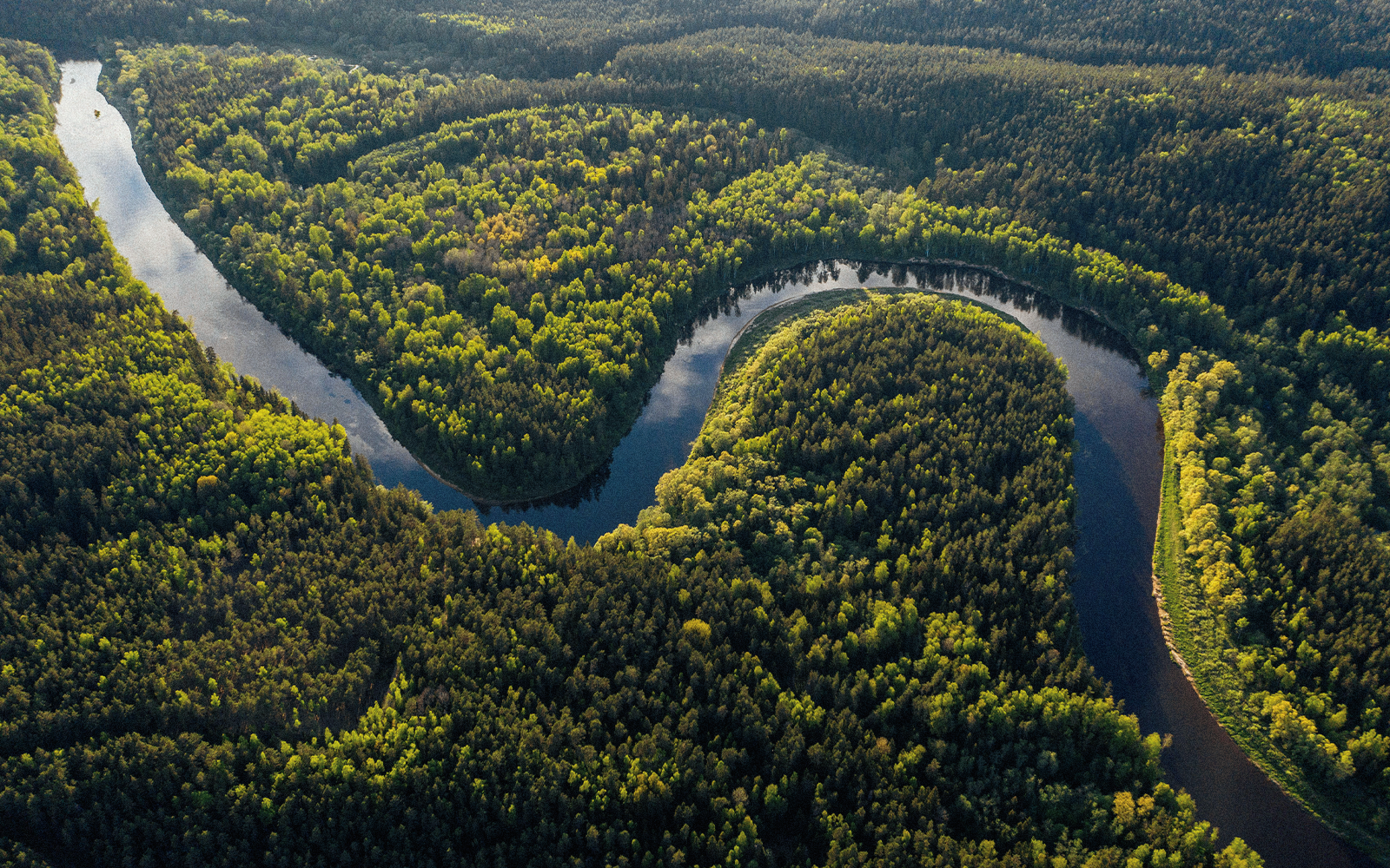 Avventura nella Foresta Amazzonica: guida completa Avventura nella Foresta Amazzonica: guida completa